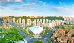 桃园新城最新爆料新闻,揭秘神秘项目背后的惊人真相